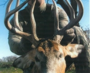 2005-itb-bucks-7