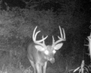 2016-itb-bucks-10