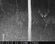 2016-itb-bucks-17