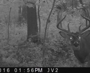 2016-itb-bucks-23