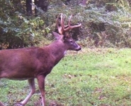 2016-itb-bucks-31