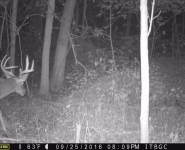 2016-itb-bucks-33