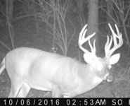 2016-itb-bucks-35