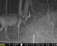 2016-itb-bucks-4