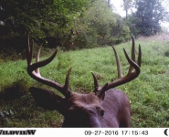 2016-itb-bucks-7