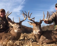2017-ITB-Buck-19