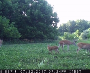 Foodplot-01