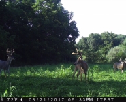 Foodplot-02