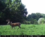 Foodplot-03