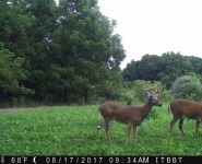 Foodplot-04