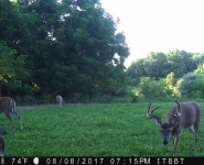 Foodplot-05