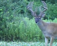 Foodplot-06