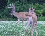 Foodplot-07