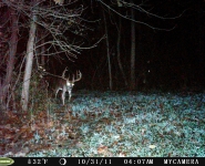 Foodplot-10
