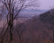 landscape-1