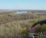 landscape-10