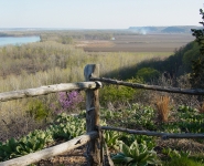 landscape-12