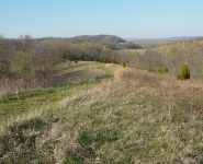 landscape-13