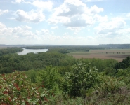 landscape-14