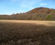 landscape-18