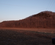 landscape-2