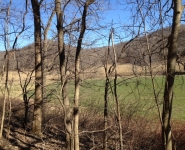 landscape-20