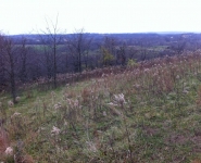 landscape-26