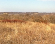 landscape-27
