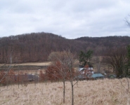 landscape-28