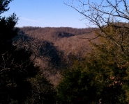 landscape-3