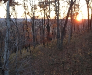 landscape-4