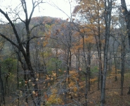 landscape-7
