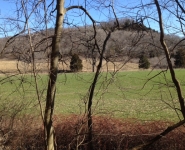 landscape-9