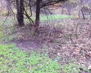 scouting-13